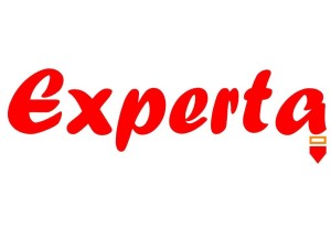 Logo Experta sin eslogan